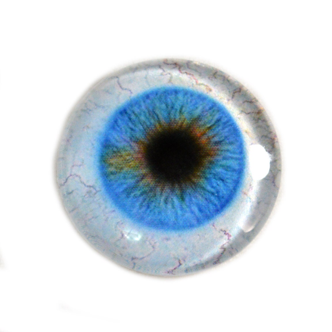 30mm Blue Glass Eye for Pendant Jewelry Making or Taxidermy
