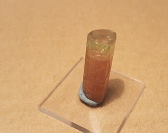 Stunning Watermelon Tourmaline Crystal