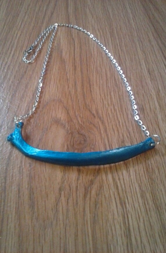 Coyote Rib Bone Necklace Metallic Blue Sapphire Taxidermy