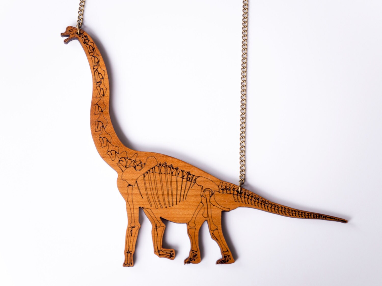 wood dinosaur skeleton