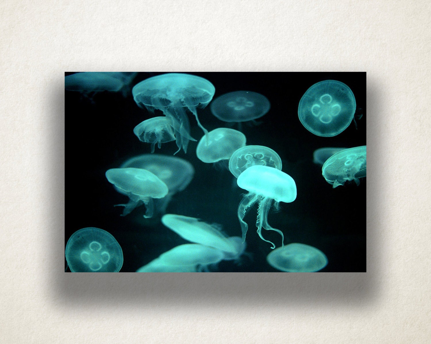 Neon Jellyfish Canvas Art Jellyfish Wall Art Ocean Canvas
