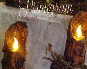 Treasury Item, Timer, Primitive, Folk Art, Halloween, Witchy, Salem, Tavern, Waxless Battery Powered Flickering Candles (Set of 2)