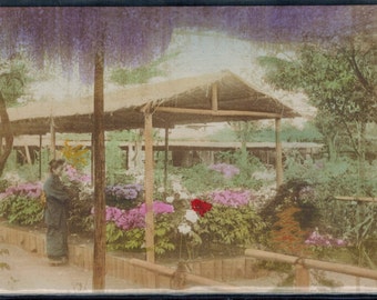 Antique Japanese Flower Garden Postcard Postmarked 1909 Hand Tinted