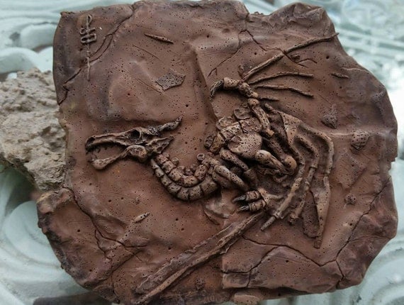 Dragon Fossil Brown by MakoslaCreations on Etsy