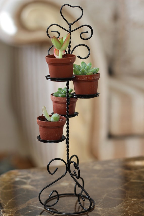 Mini Succulent Tier Plant Stand by TheJuicyCreations on Etsy