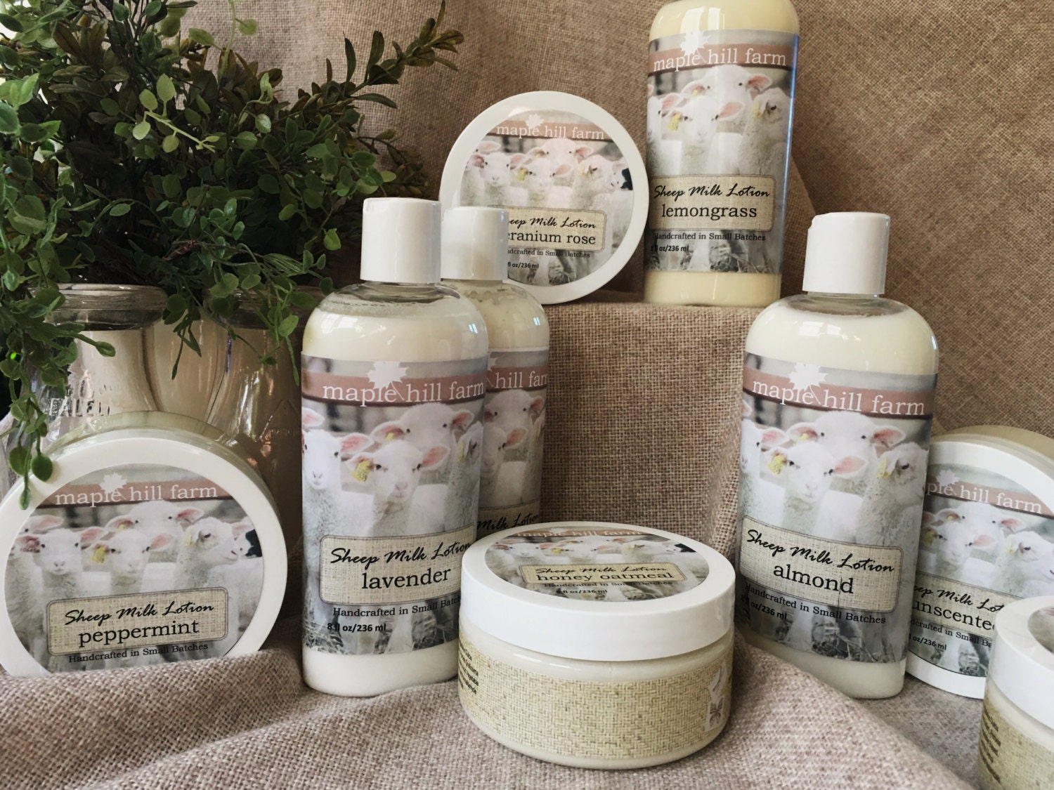 Sheep Milk Lotion By Maplehillfarmwi On Etsy