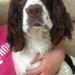 snickers2003