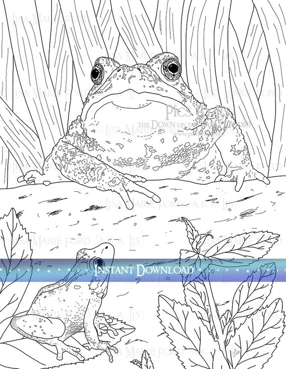 Frog And Toad Coloring Pages My Xxx Hot Girl 