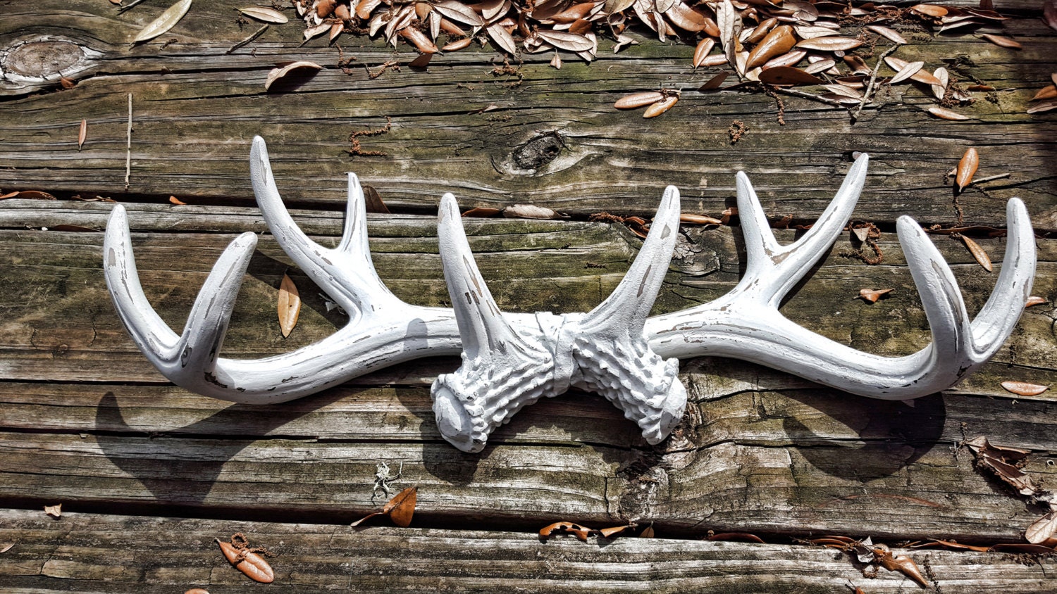 On Sale Faux Antler Wall Decor / Faux Taxidermied / Faux