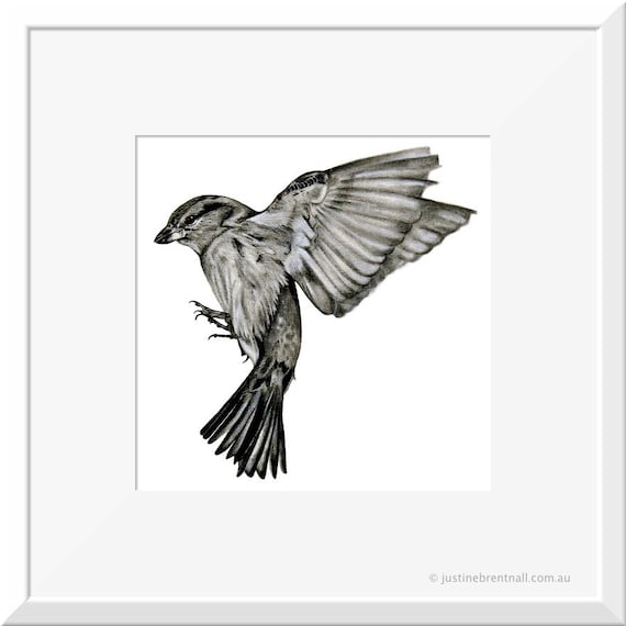 Bird Art Print Art Wall Art Prints Black and White Print