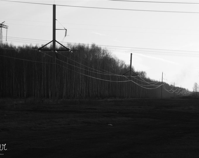 Wall prints Wall decor Large wall print Black and white art Electrical tower Power tower Power lines Rural landscape Sunset sky Dense forest