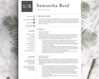 professional resume templates cv templates by
