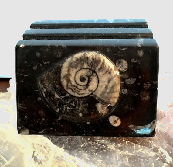 Ammonite Fossil Letter Holder Ammonite by NewEarthGiftAndBeads