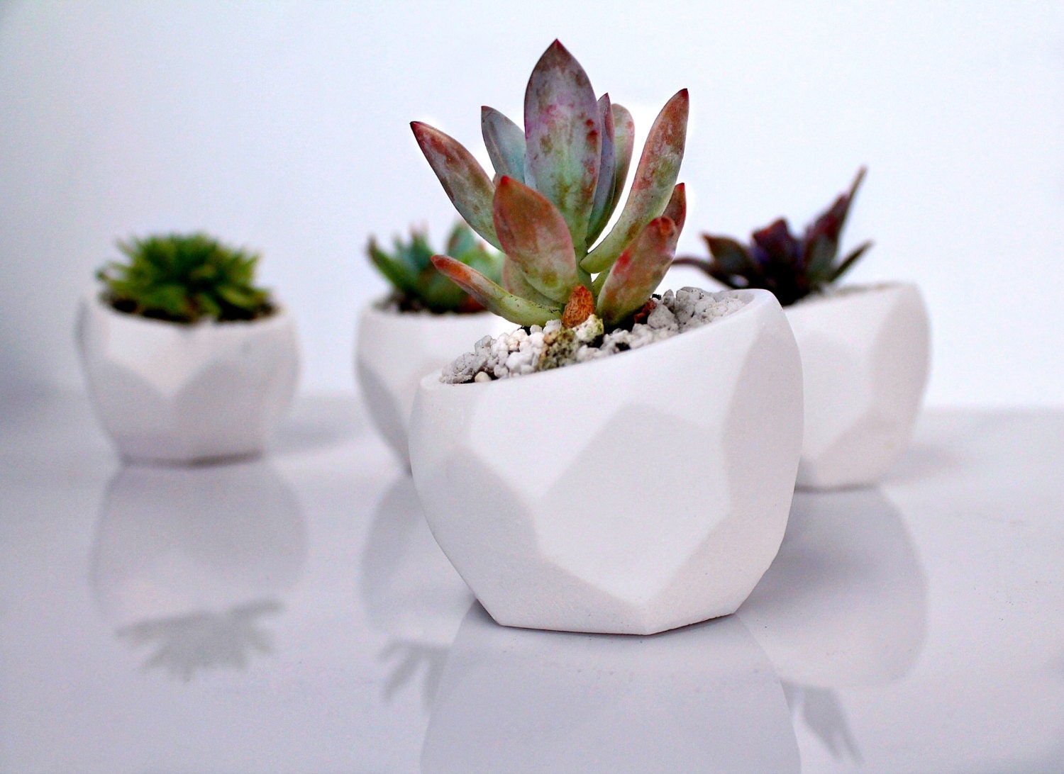 Geometric Planter Succulent & cacti vase Modern Plant Pot
