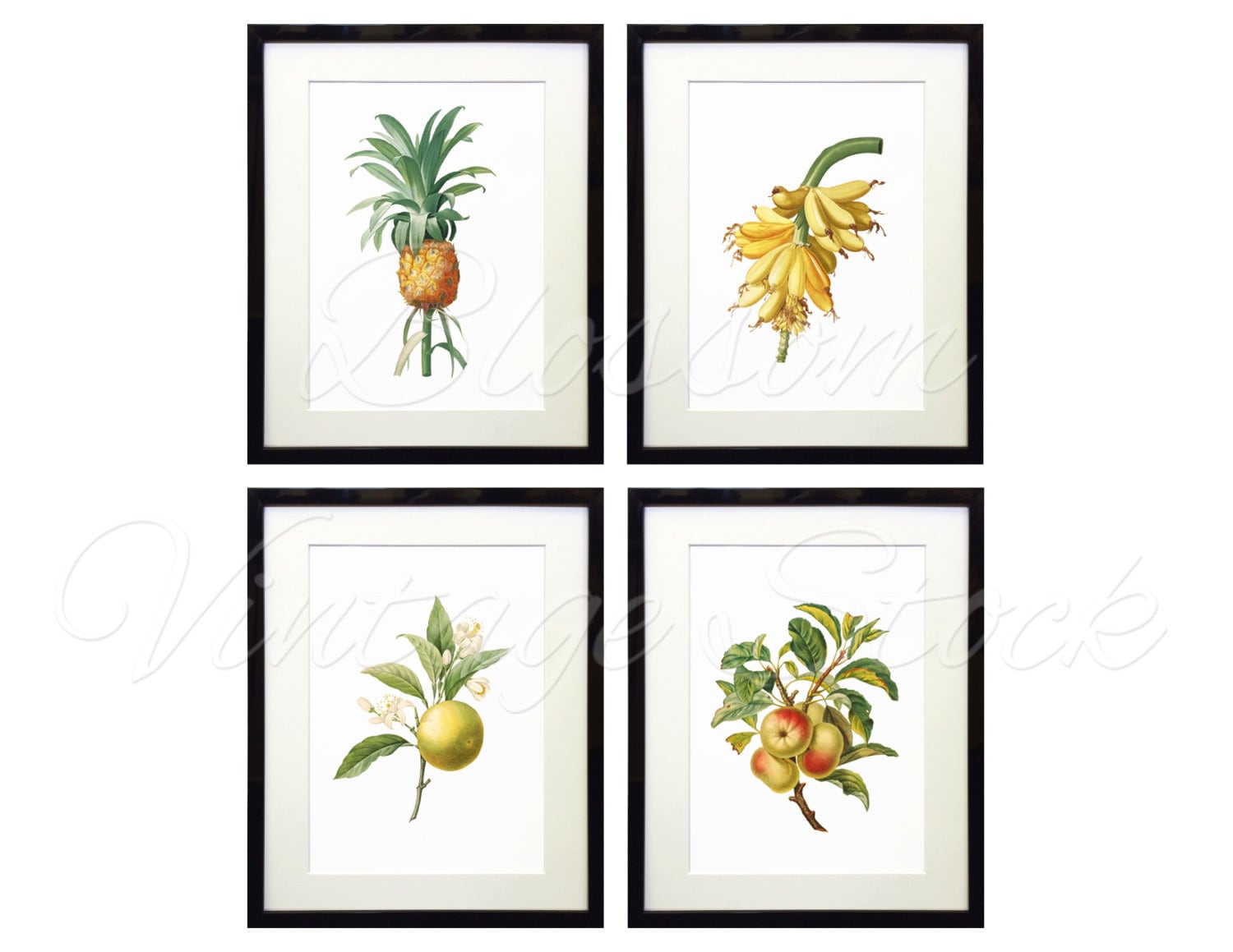 Fruits Botanical Printable Set INSTANT by BlossomVintageStock