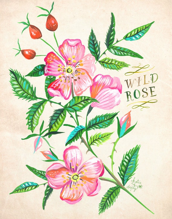 Wild Rose print Katie Daisy Art Watercolor Floral Wall