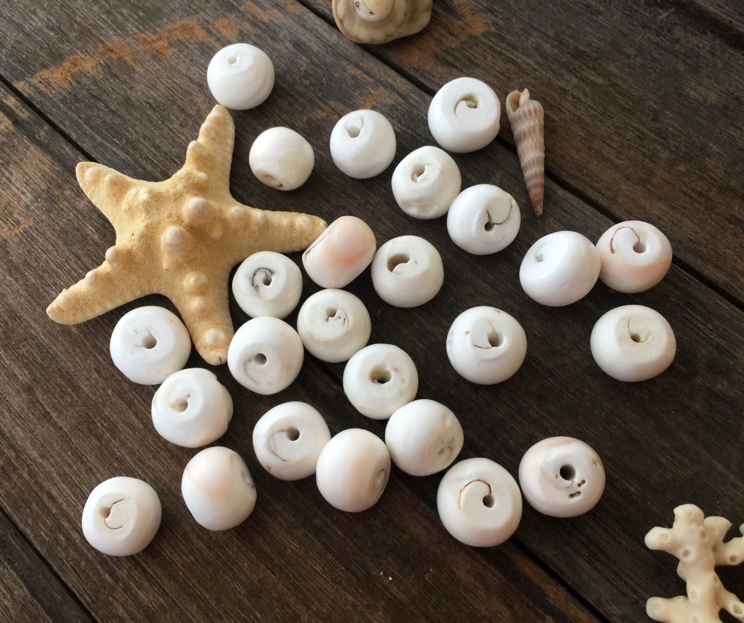 From The Sea Bright White Natural Nepali Conch Shell Beads 