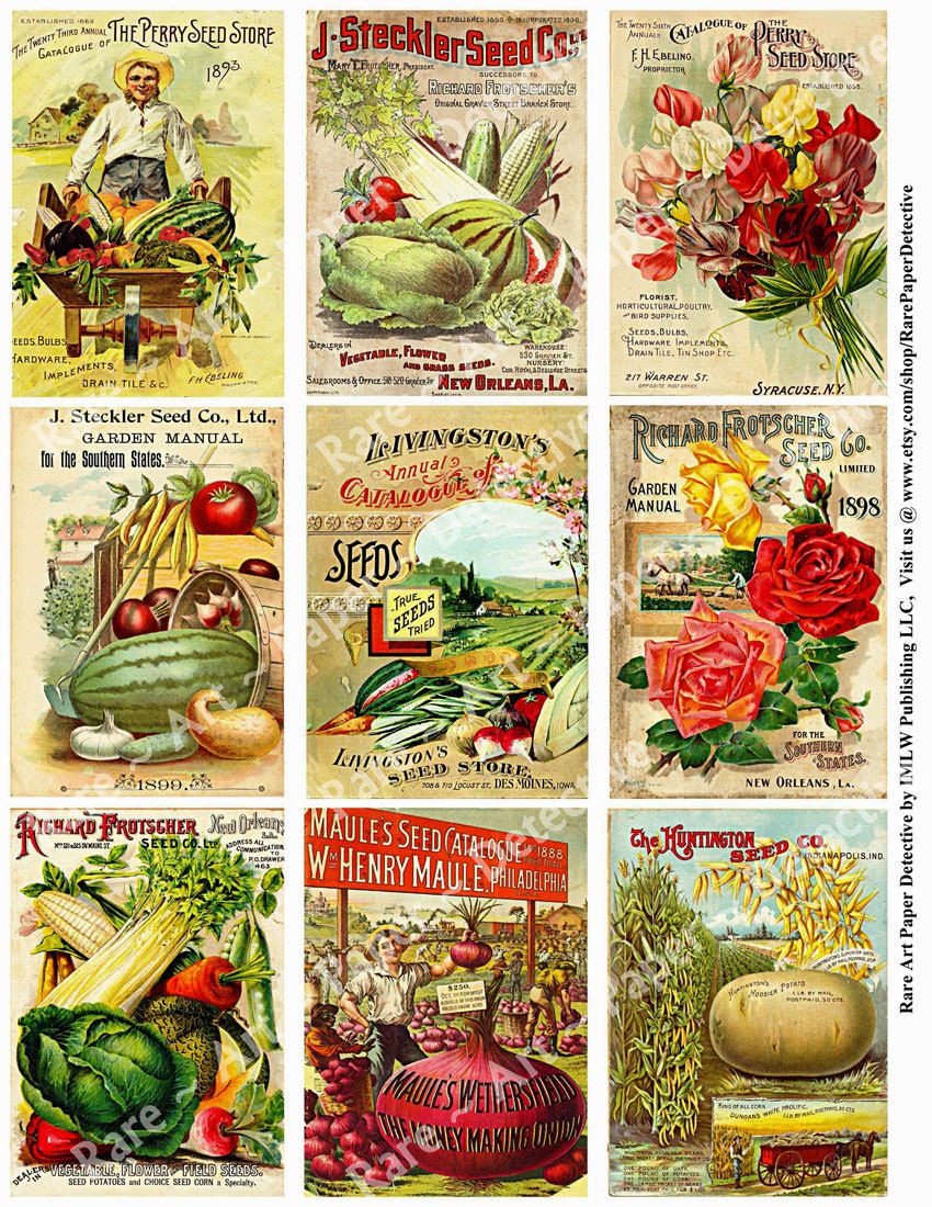 Seed Packet 9 Printed Seed Catalog Covers by RarePaperDetective