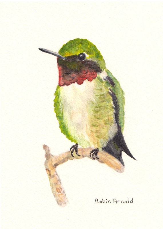 Ruby-throated Hummingbird 5x7 Watercolor Painting