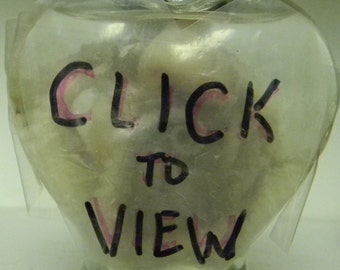 Heart Jar Real preserved baby octopus taxidermy wet specimen Mature Oddities Davy Jones