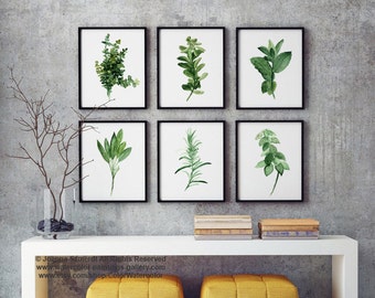 Kitchen Herb Print Green Wall Painting, Watercolor Set 6 Herbs Spices Art Decor, Gift for Women Botanical Illustration, Home Garden Poster