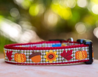 Fall Dog Collar / Autumn Dog Collar / Thanksgiving Dog Collar / Dog Collars Australia / XS-XL