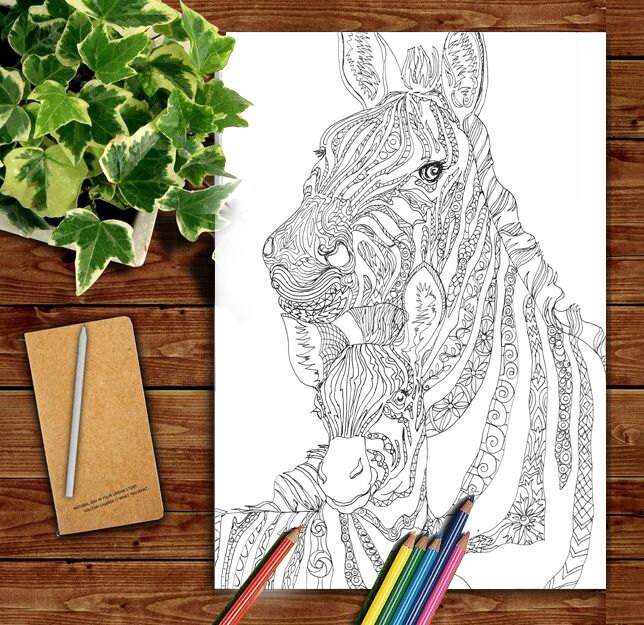Zebra Clip Art Coloring pages Printable Adult Coloring book