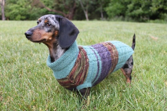 Knitting Pattern Scrap Yarn Cowl Neck Mini Dachshund Dog