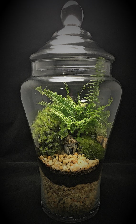 Cottage TerrariumMoss TerrariumTerraSphereLarge Terrarium