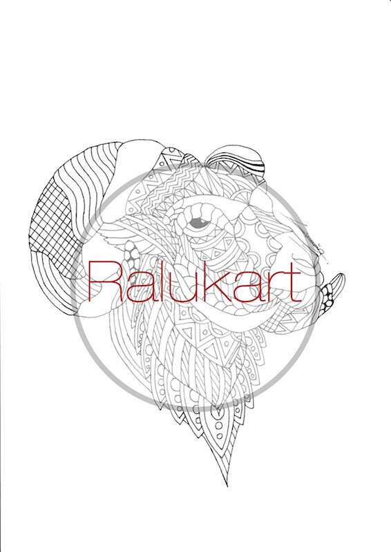 Adult Colouring Page Ram