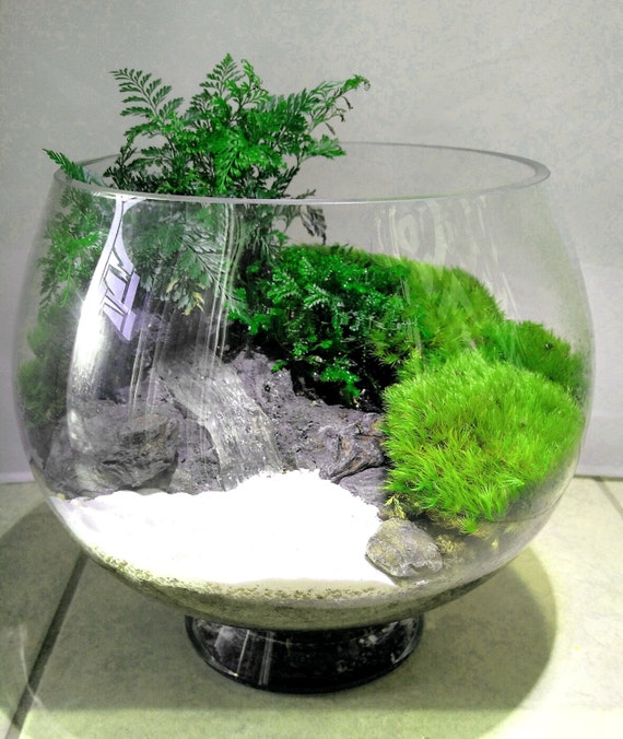Large DIY Terrarium Kit with waterfall