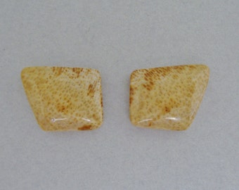 Petrified Palm Wood, Matched Pair, DESTASH
