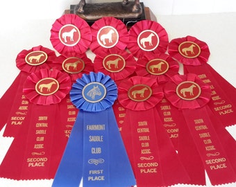 Vintage Horse Show Ribbons in red and blue. Like New Condition. 1990