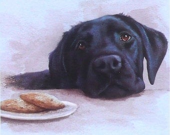 Black Labrador: Snacktime