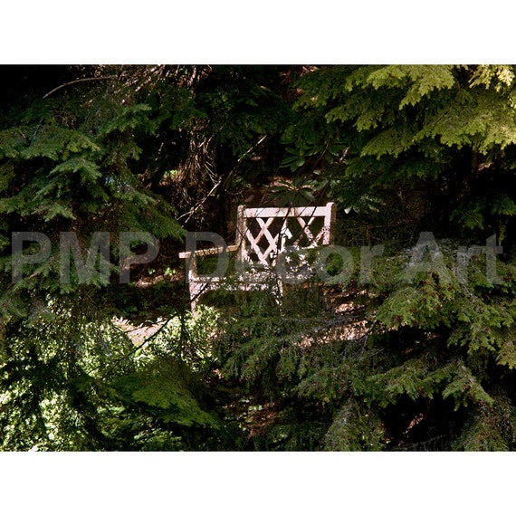 Bainbridge Island Bench Canvas Art Prints Fine Art Prints