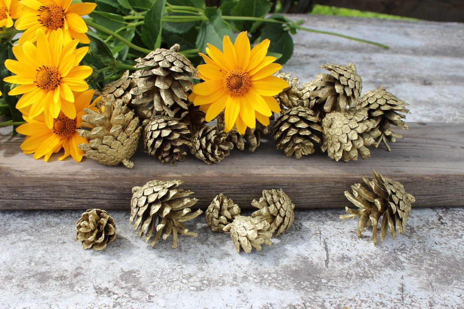 50 GOLD PINE CONES Pinecones Wedding decor Holiday decor