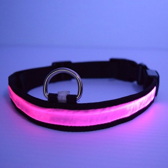 LED lighted Purple Dog Collar