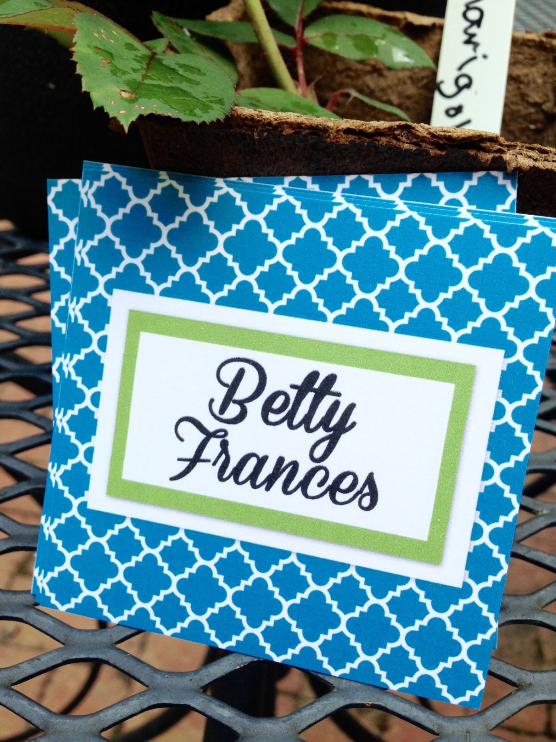 Personalized Gift Enclosure Cards