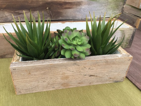 Wooden Succulent Box