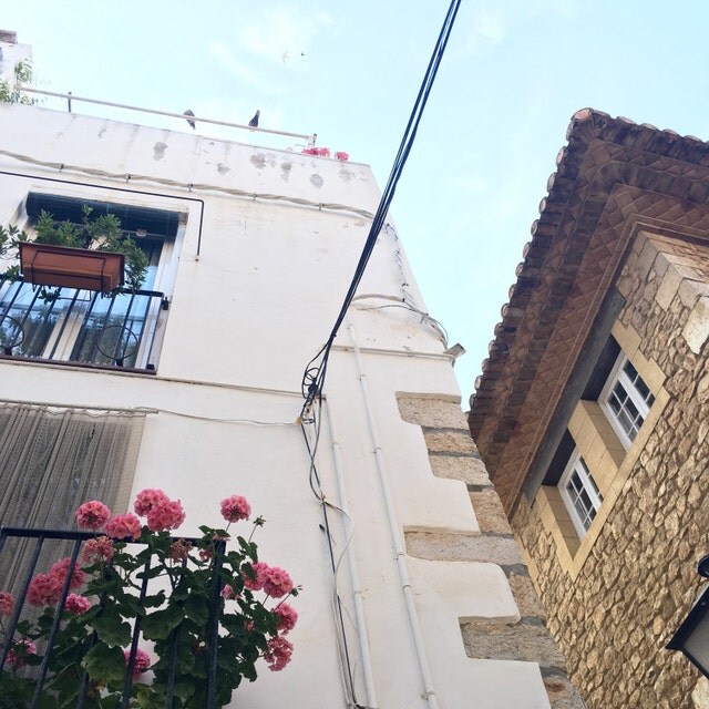 cleo and clementine etsy