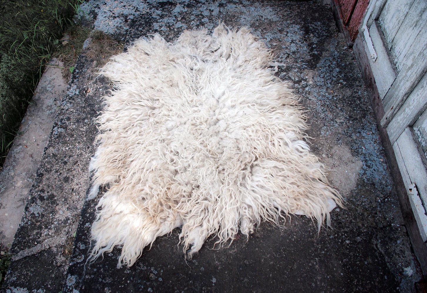 Handmade felted natural wool rug felt ivory sheep skin rug