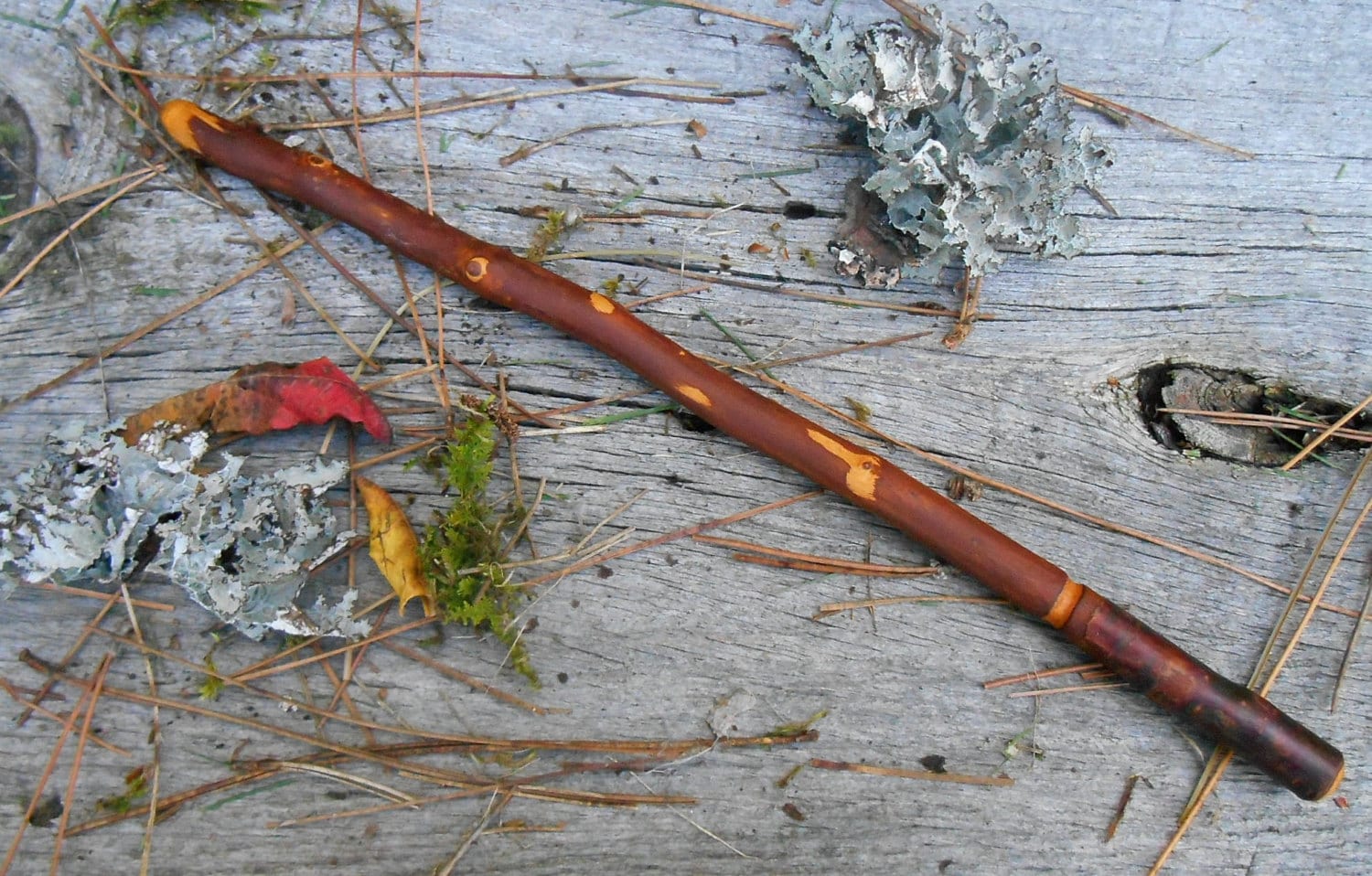 Alder Wand Natural Wood wand FREE US Shipping spiritual