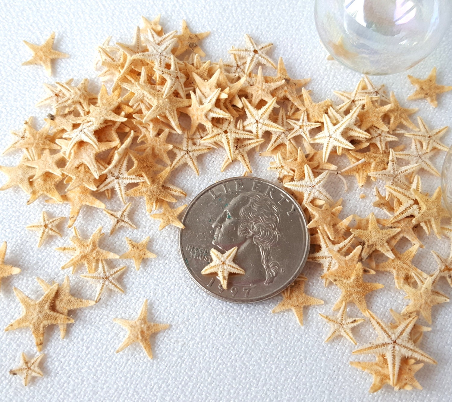 Beach Decor SUPER TINY Starfish for Jewelry Making or Crafts