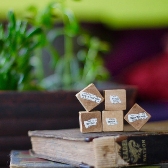 Dictionary Dice Unblockers Writer Gift Storytelling by JHTatroeSBG