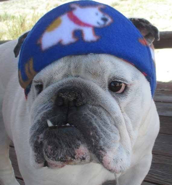 ENGLISH BULLDOG REVERSIBLE hat Funny Dog Hat Fall Winter