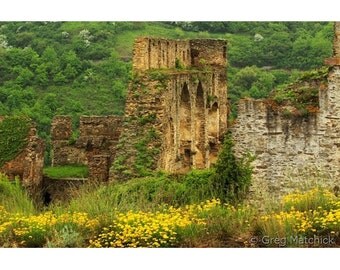 Fine Art Color Landscape Photography of Rheinfels Castle Ruins and Wildflowers in the Rhine River Valley in Germany 2