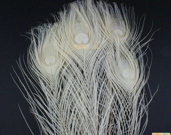 10 Pieces White Peacock Feather 25-30cm (YM177)
