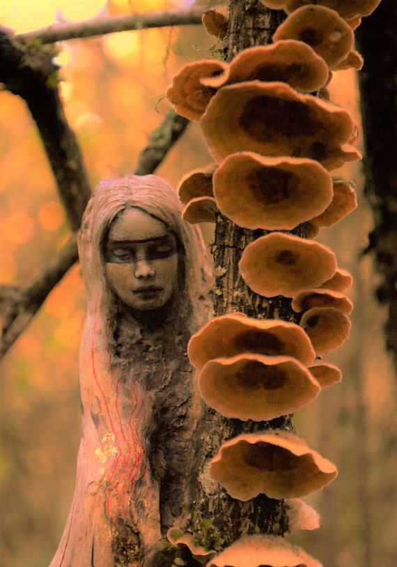 Driftwood Sculptures By Debra Bernier