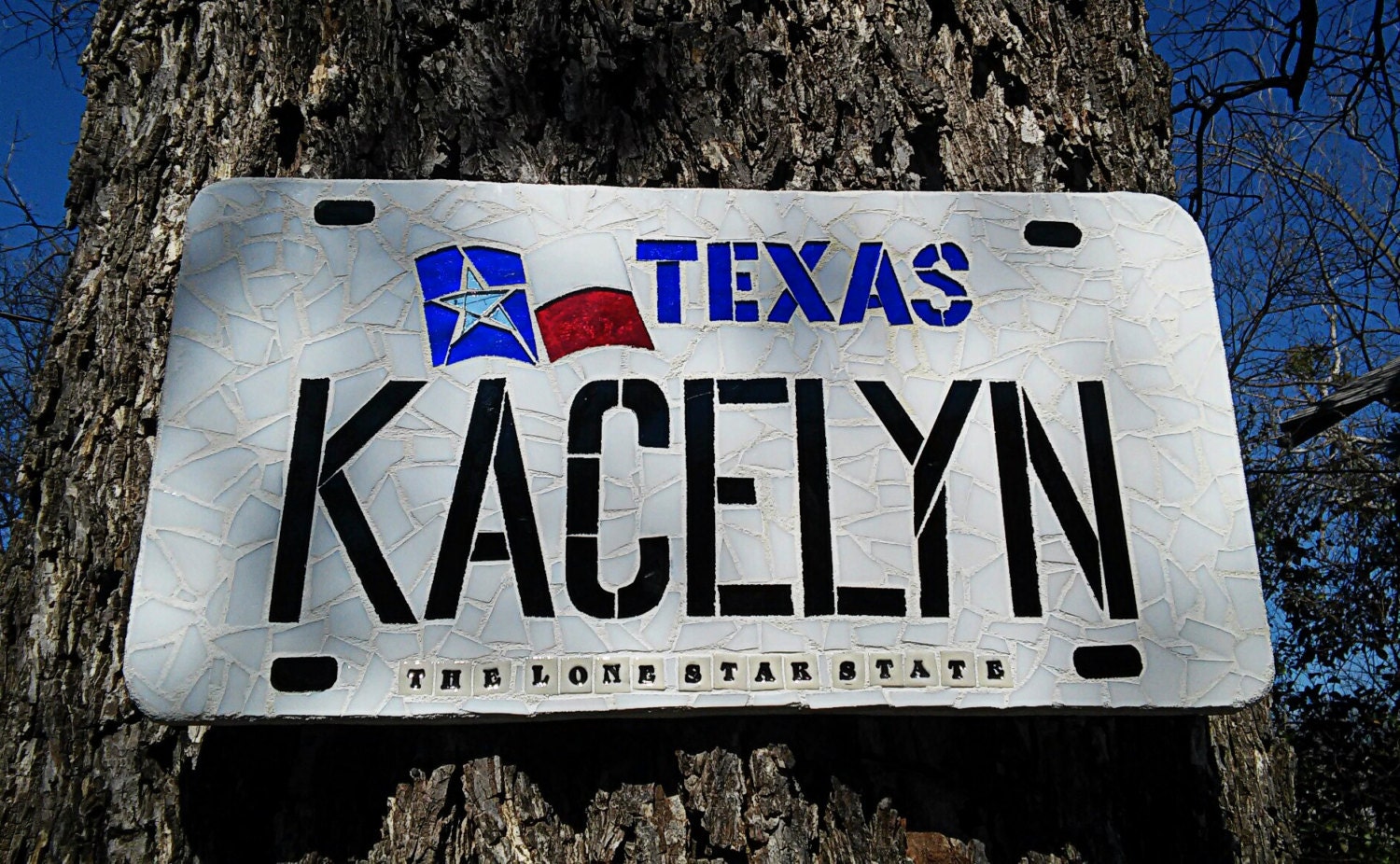 Texas License Plate personalized vanity plate lone star