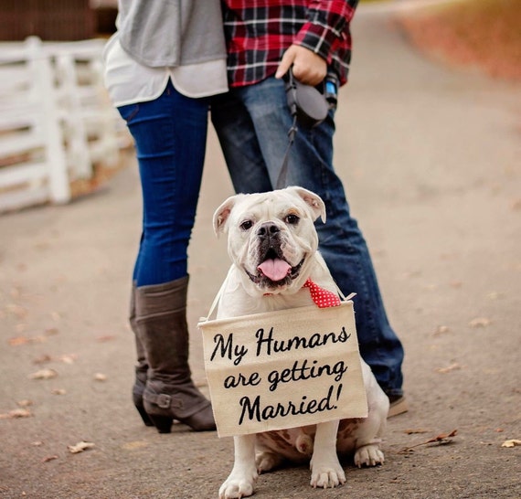 Dog Wedding Sign My Humans are getting married by BridesandBellas